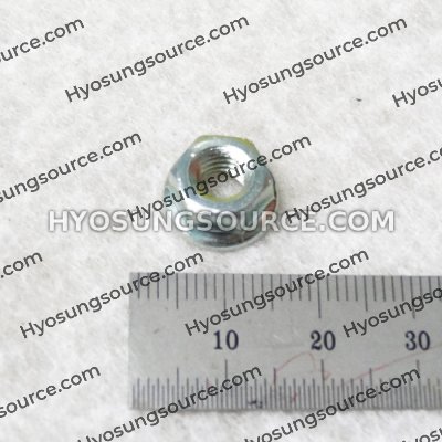 08316-16068 Cylinder Head Nut (M6) For Various Models