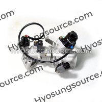 Genuine New Throttle Body Assy Hyosung MS3 250