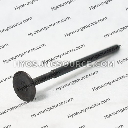 Engine Exhaust Valve Daelim SL125 SG125 SQ125 S2 125 NS125 XQ125 - Click Image to Close