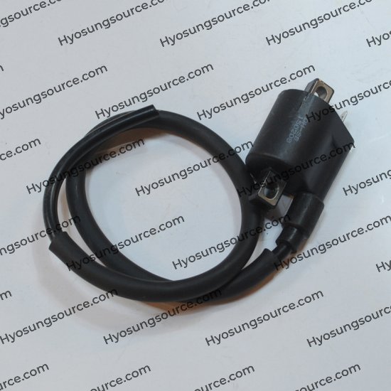 Aftermarket Ignition Coil Hyosung SB50 SD50 SF50 RALLY EZ100 - Click Image to Close