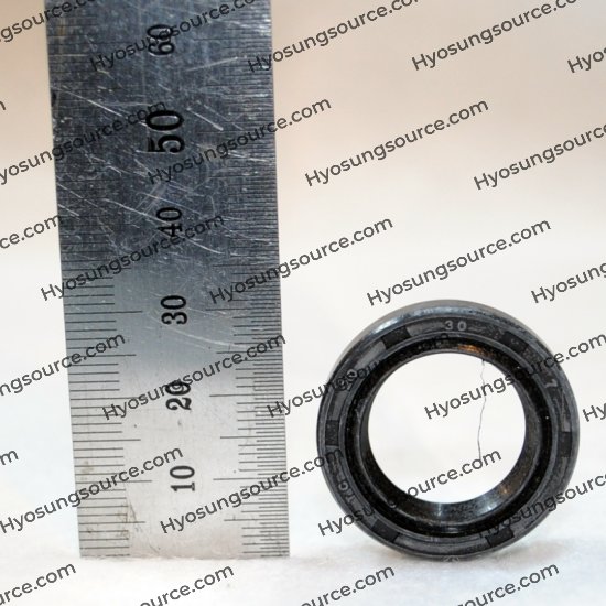 Engine Right Crank Shaft Oil Seal (20x30x6) SL 125 SG 125 NS 125 - Click Image to Close