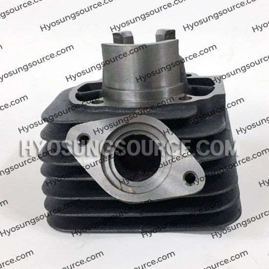 Aftermarket Engine Cylinder Daelim SJ50 E-FIVE A-FOUR ATS 50 - Click Image to Close